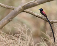 Ma Tau Wai Service Reservoir